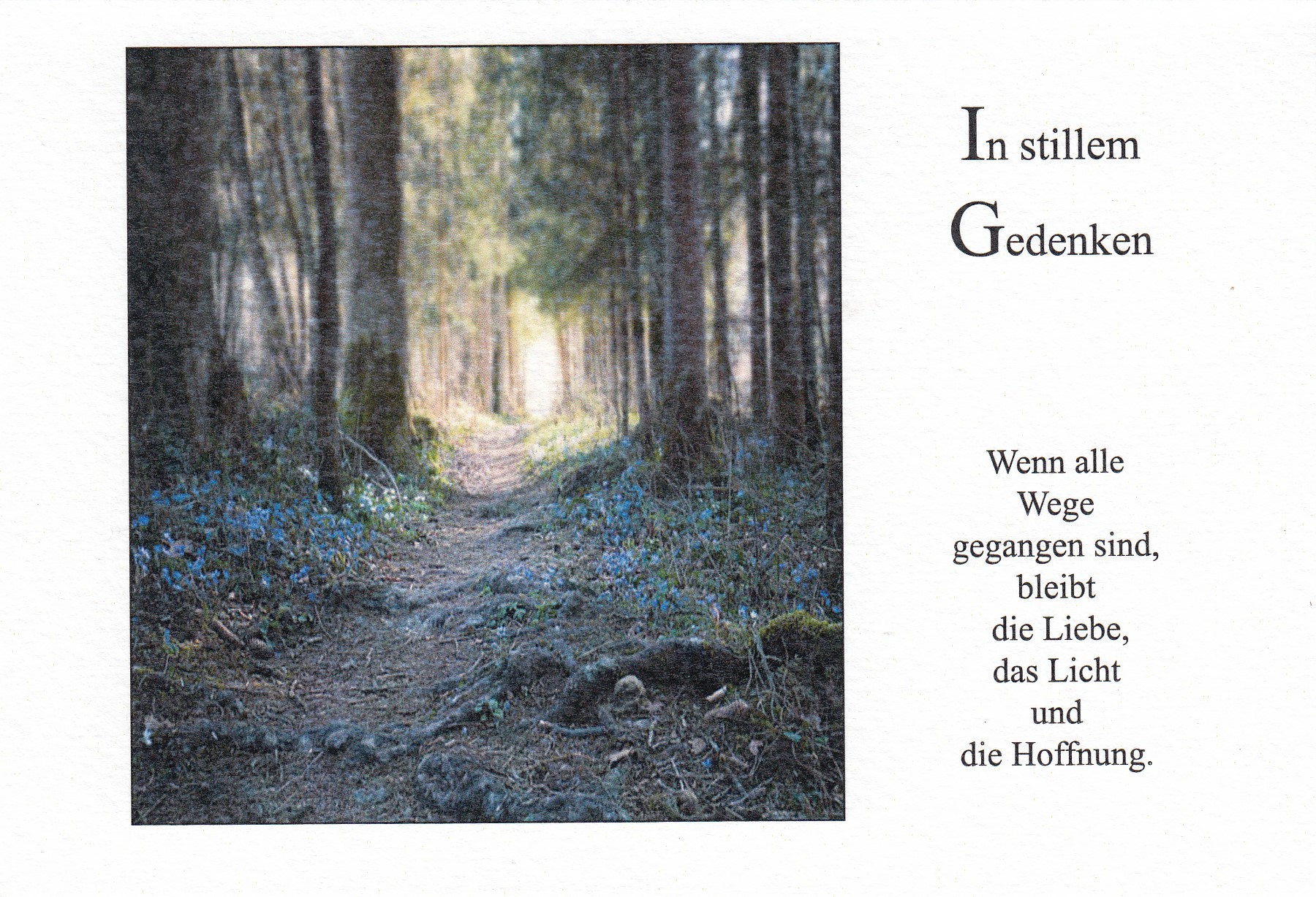 Karte zur Trauer - In stillem Gedenken & Waldweg Karte zur Trauer - In stillem Gedenken & Waldweg