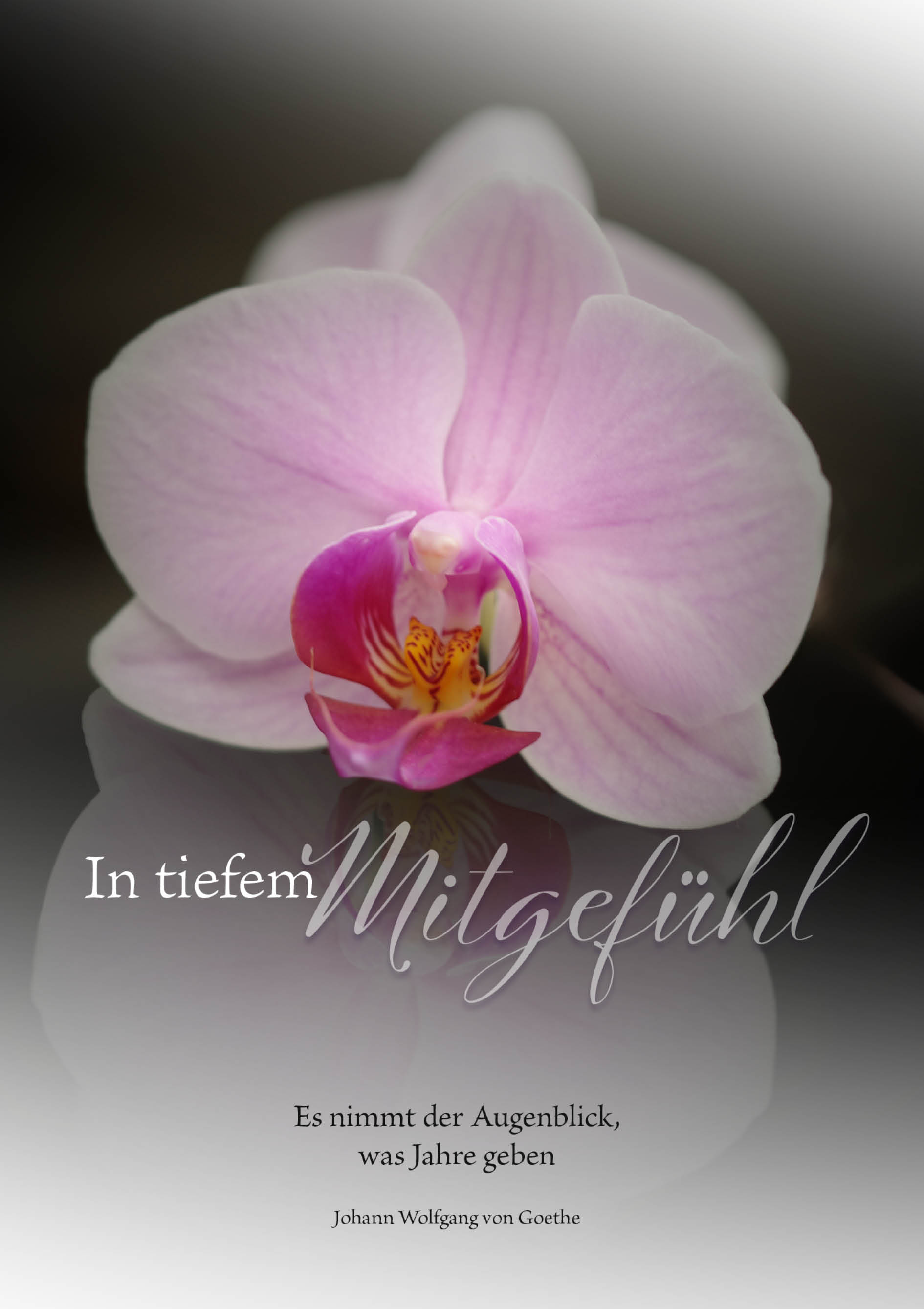 Trauerkarte - Stille Grüße