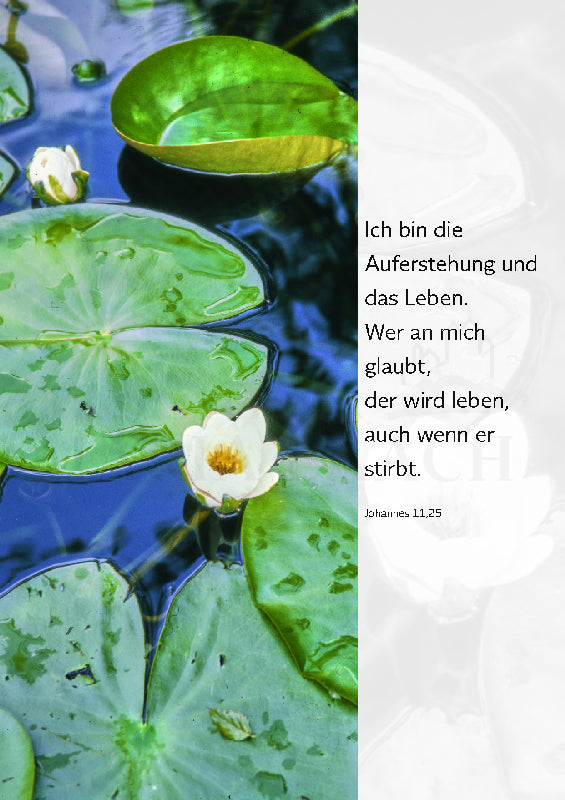 Trauerkarte – Ich bin die Auferstehung und das Leben.
