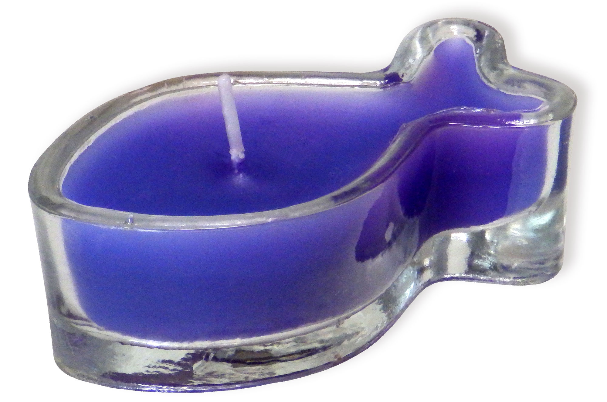 Fisch-Glas - Farbige Kerze