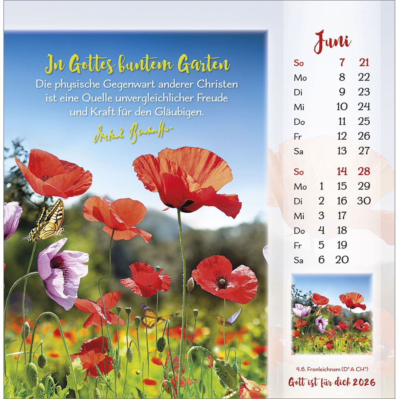 Tischkalender - Gott ist für dich & 2026 Tischkalender - Gott ist für dich & 2026
