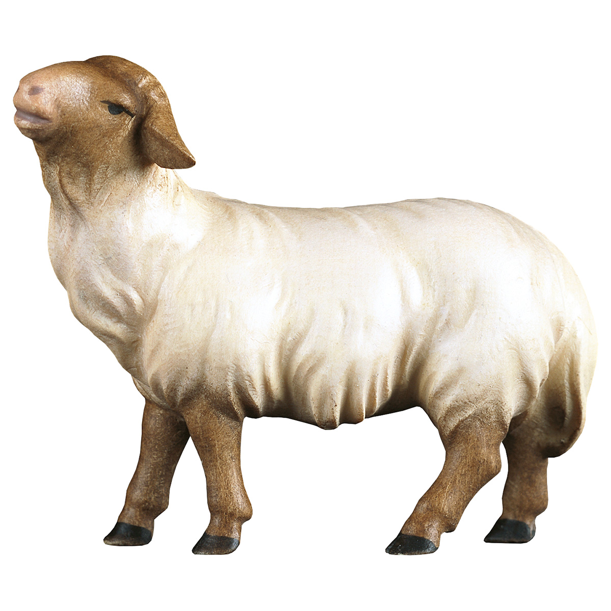 Heiland Krippe - Schaf geradeaus schauend Kopf dunkel