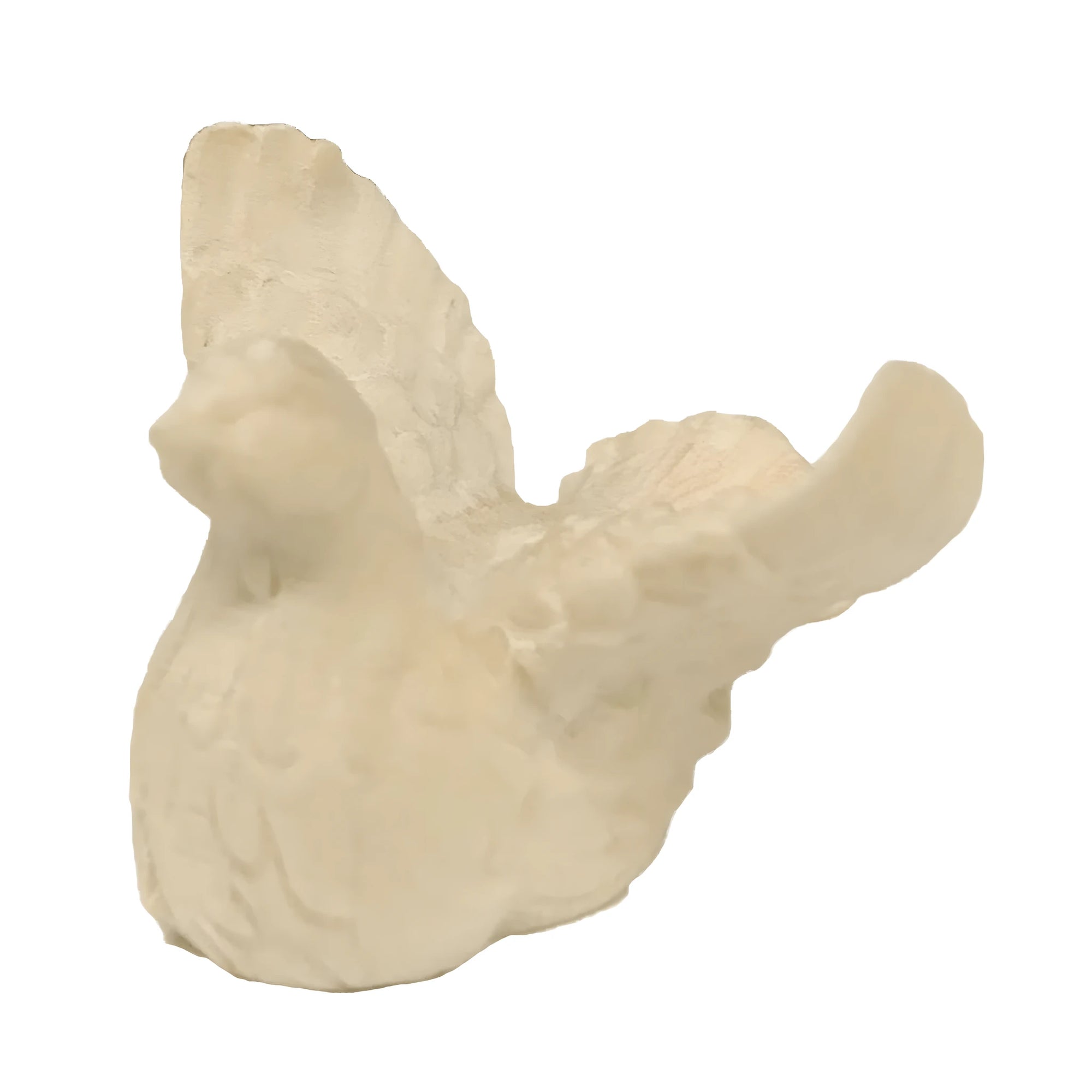 Raffaello-Krippe  - Taube mit offenen Flügeln