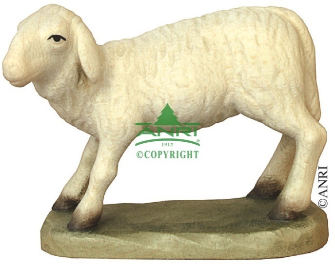 Karl-Kuolt-Krippe  - Schaf gebückt stehend
