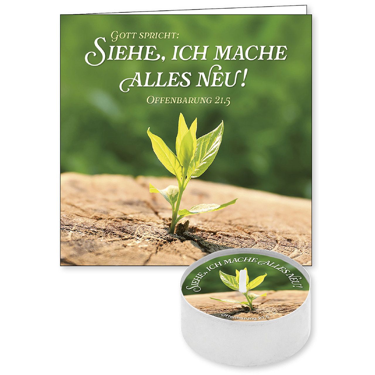 Lichtgruß - Jahreslosung 2026