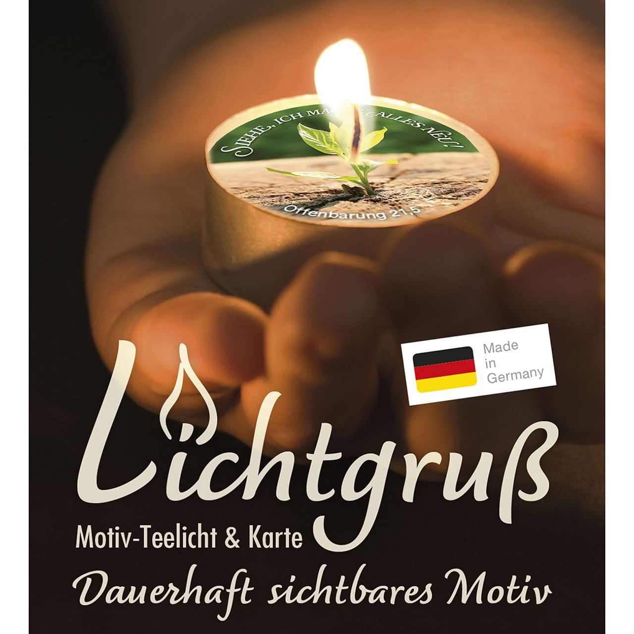 Lichtgruß - Jahreslosung 2026 Lichtgruß - Jahreslosung 2026