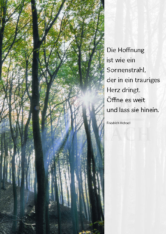 Trauerkarte – Die Hoffnung ist wie ein Sonnenstrahl…