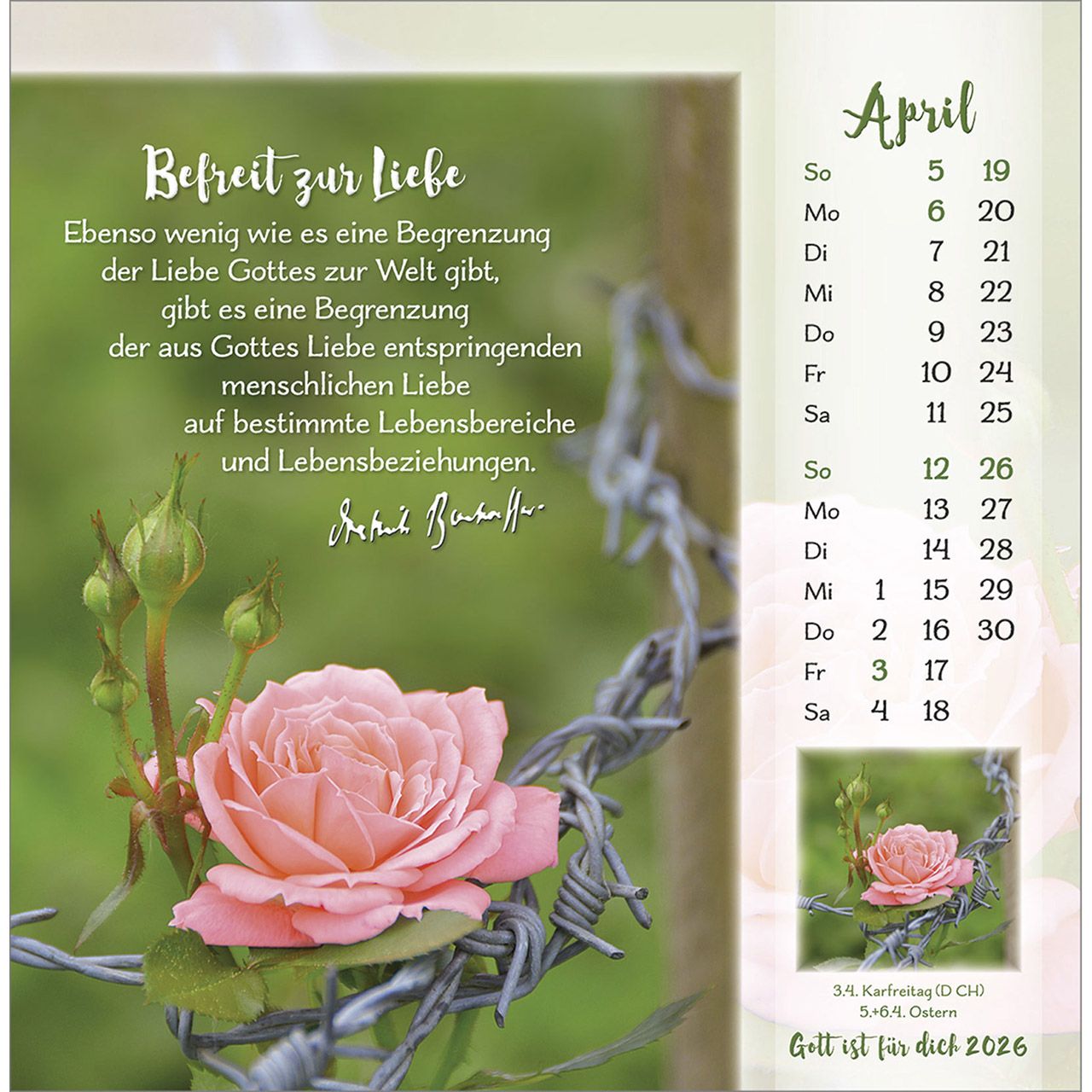Tischkalender - Gott ist für dich & 2026 Tischkalender - Gott ist für dich & 2026