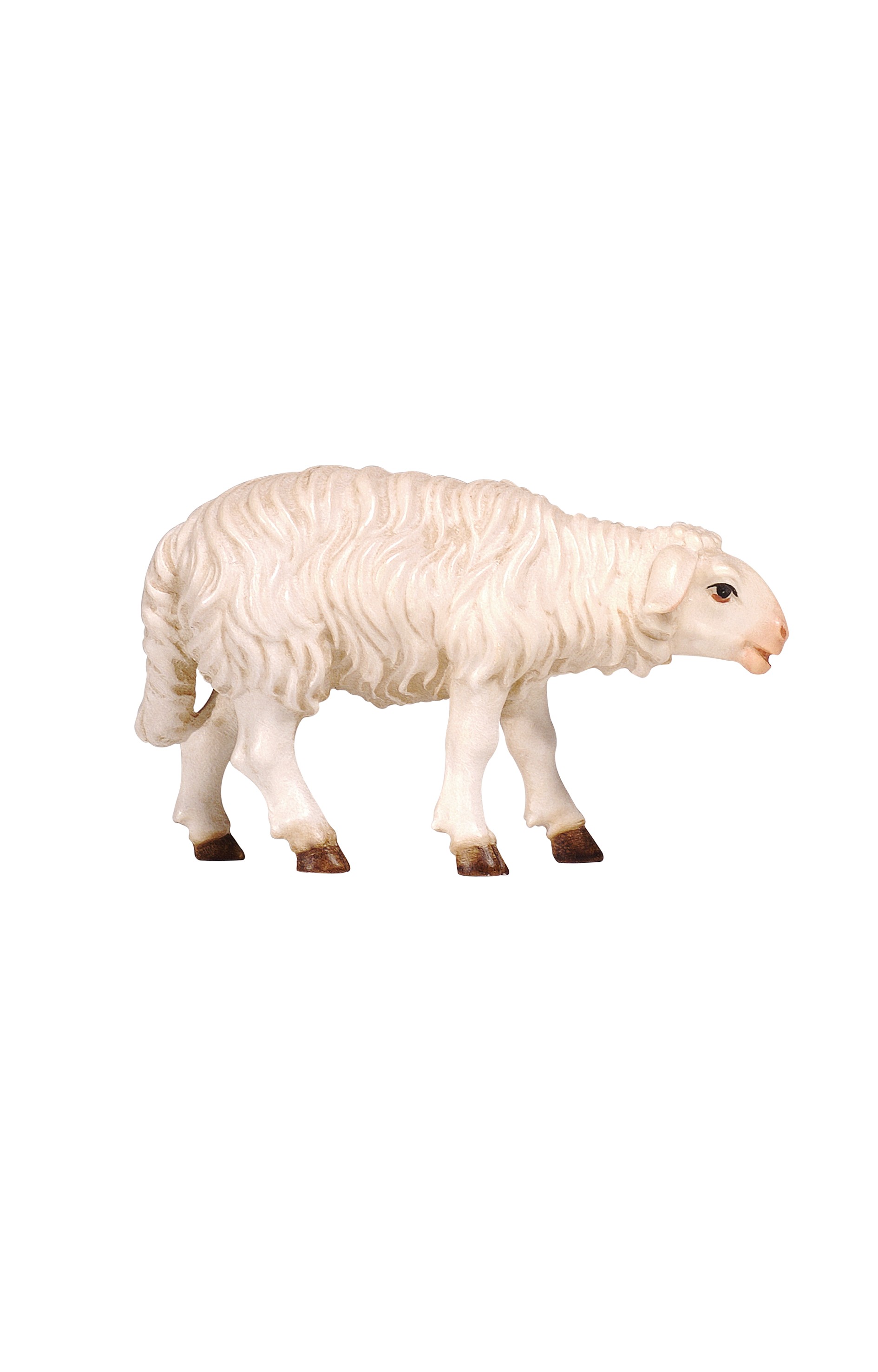 Kostner-Krippe - Schaf stehend vorwärtsschauend