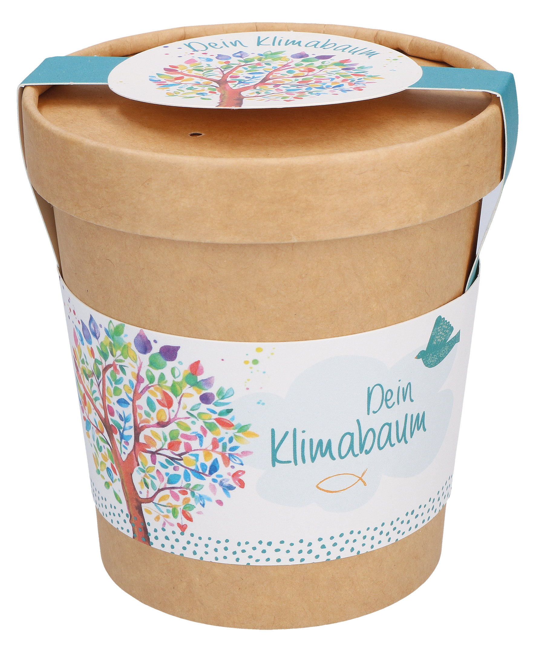 Planzset - Dein Klimabaum