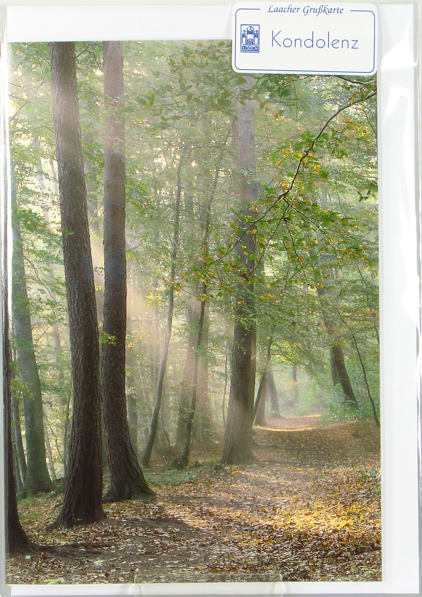 Trauerkarte - Sonnenstrahlen im Wald Trauerkarte - Sonnenstrahlen im Wald