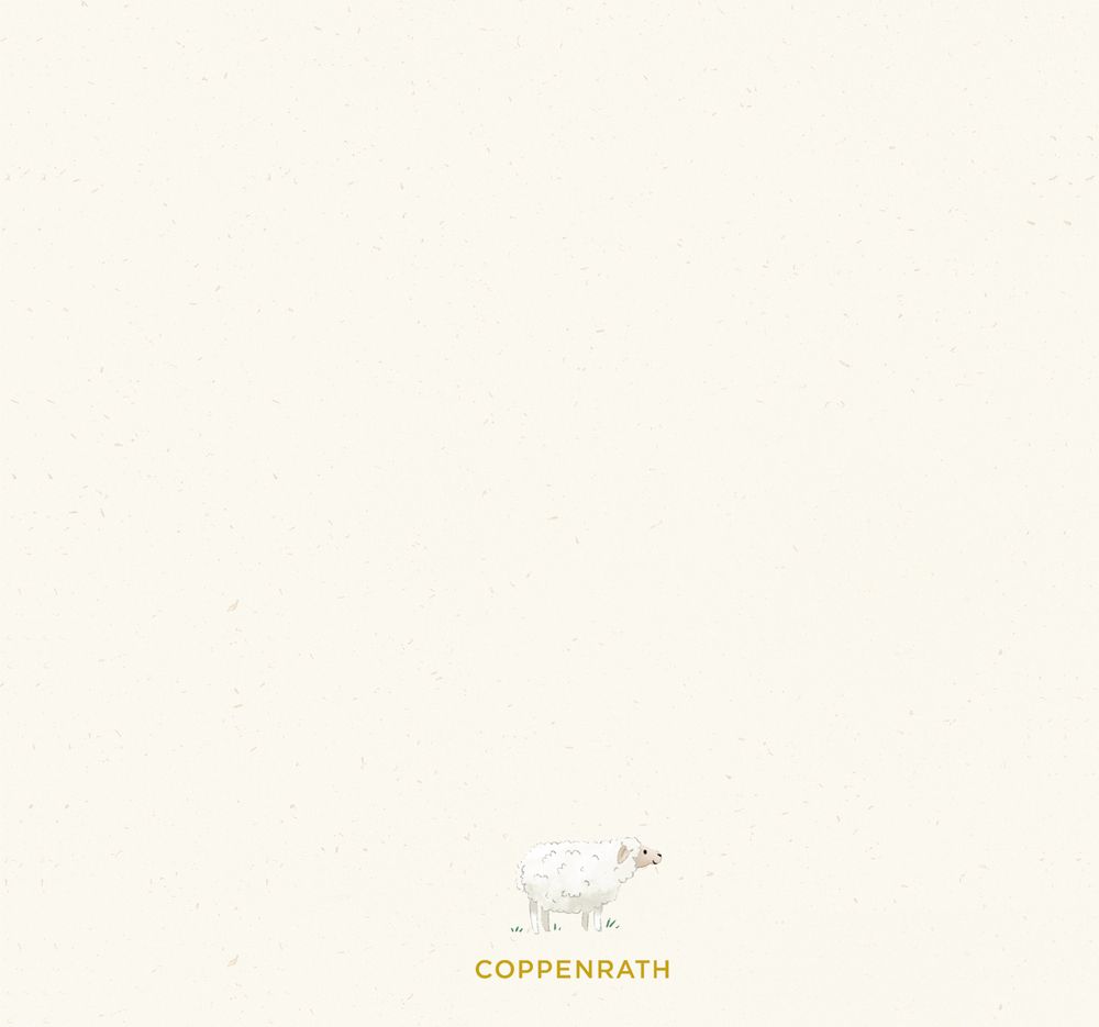 Eintragungsbuch zur Taufe - Meine Taufe & Arche Noah Eintragungsbuch zur Taufe - Meine Taufe & Arche Noah