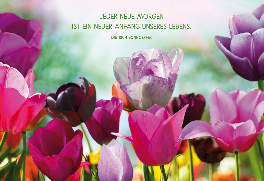 Karte zu Ostern - Jeder neue Morgen...