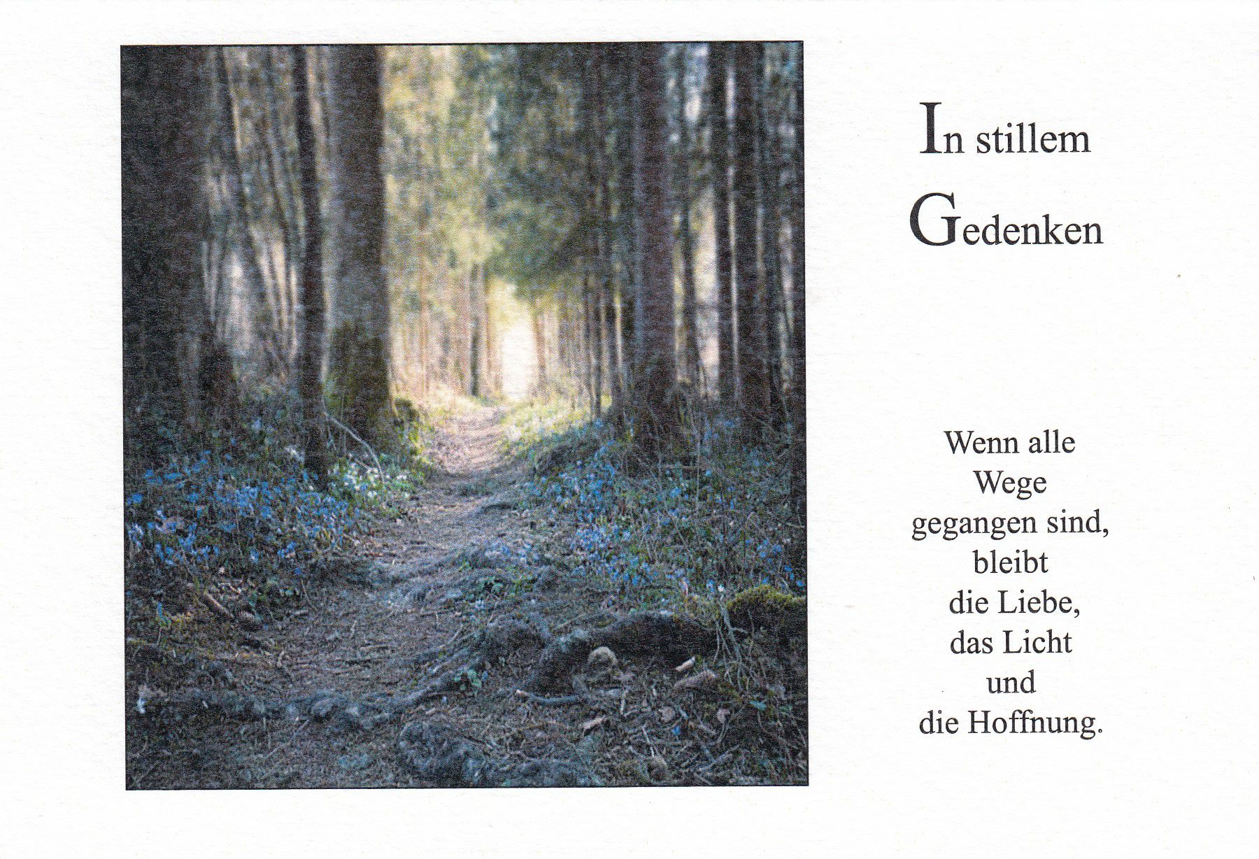 Karte zur Trauer In stillem Gedenken & Waldweg 3956182